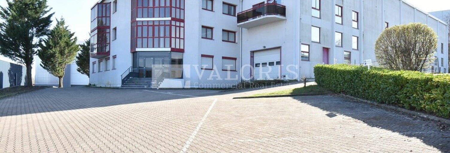 Commerce  3365 m² à louer à Champagne-au-Mont-d'Or (69410)