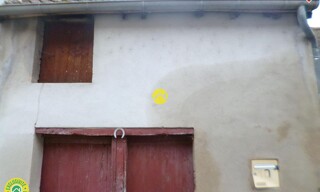 Photo N° 8