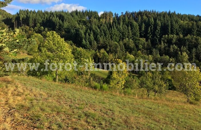 Terrain constructible — photo 2