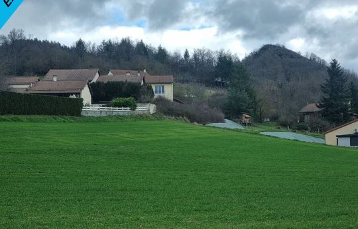 terrain  pièces 4540 m2 à vendre à Yssingeaux (43200)