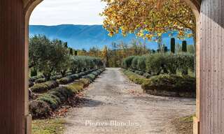 Maison 10 Pièces 282 m² à vendre à Gordes (84220)