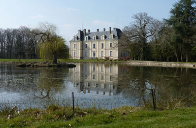 vente maison 2 000 000 € à proximité de Pruniers-en-Sologne (41200)