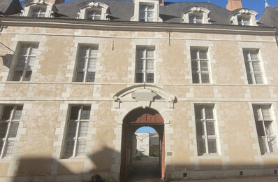 vente appartement 53 500 € à proximité de Verneuil-le-Château (37120)