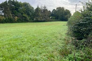 Terrain  54000 €