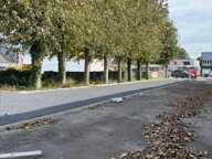 A VENDRE TERRAIN A BATIR SUR WINGLES — photo 4
