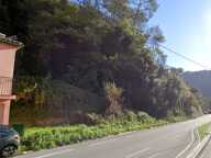 Terrain non-constructible — photo 2