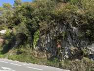 Terrain non-constructible — photo 3