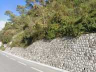 Terrain non-constructible — photo 4
