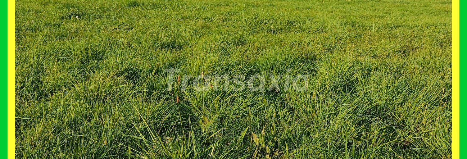 Maison 1 Pièce  m² à vendre à Saint-Menoux (03210)