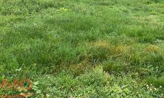 Terrain  9457 m² à vendre à Châtel-Censoir (89660)