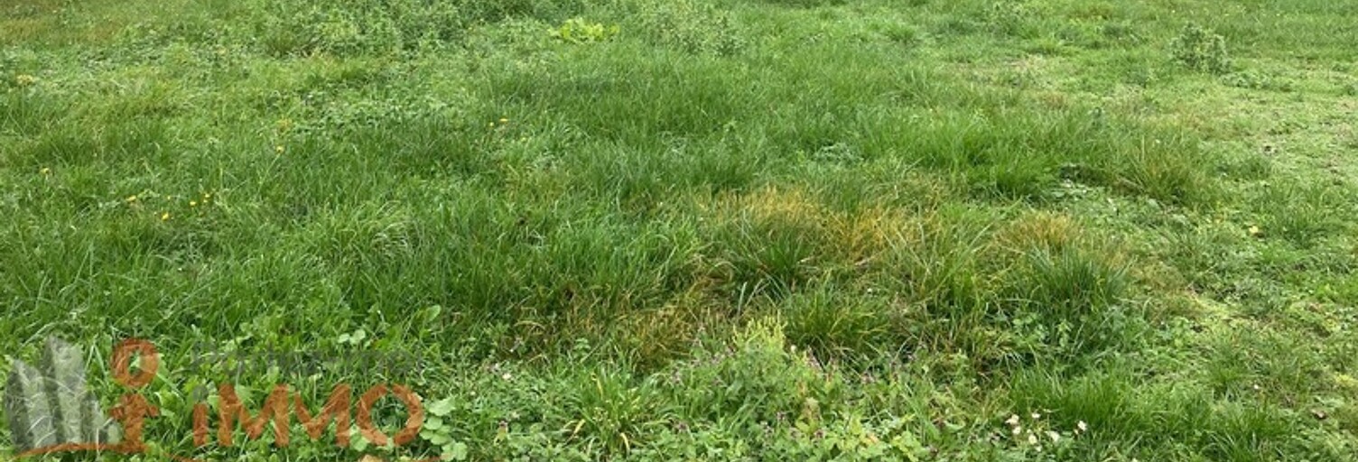 Terrain  9457 m² à vendre à Châtel-Censoir (89660)