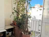 NICE - FLEURS / SHAKESPEARE // Sous compromis — photo 3
