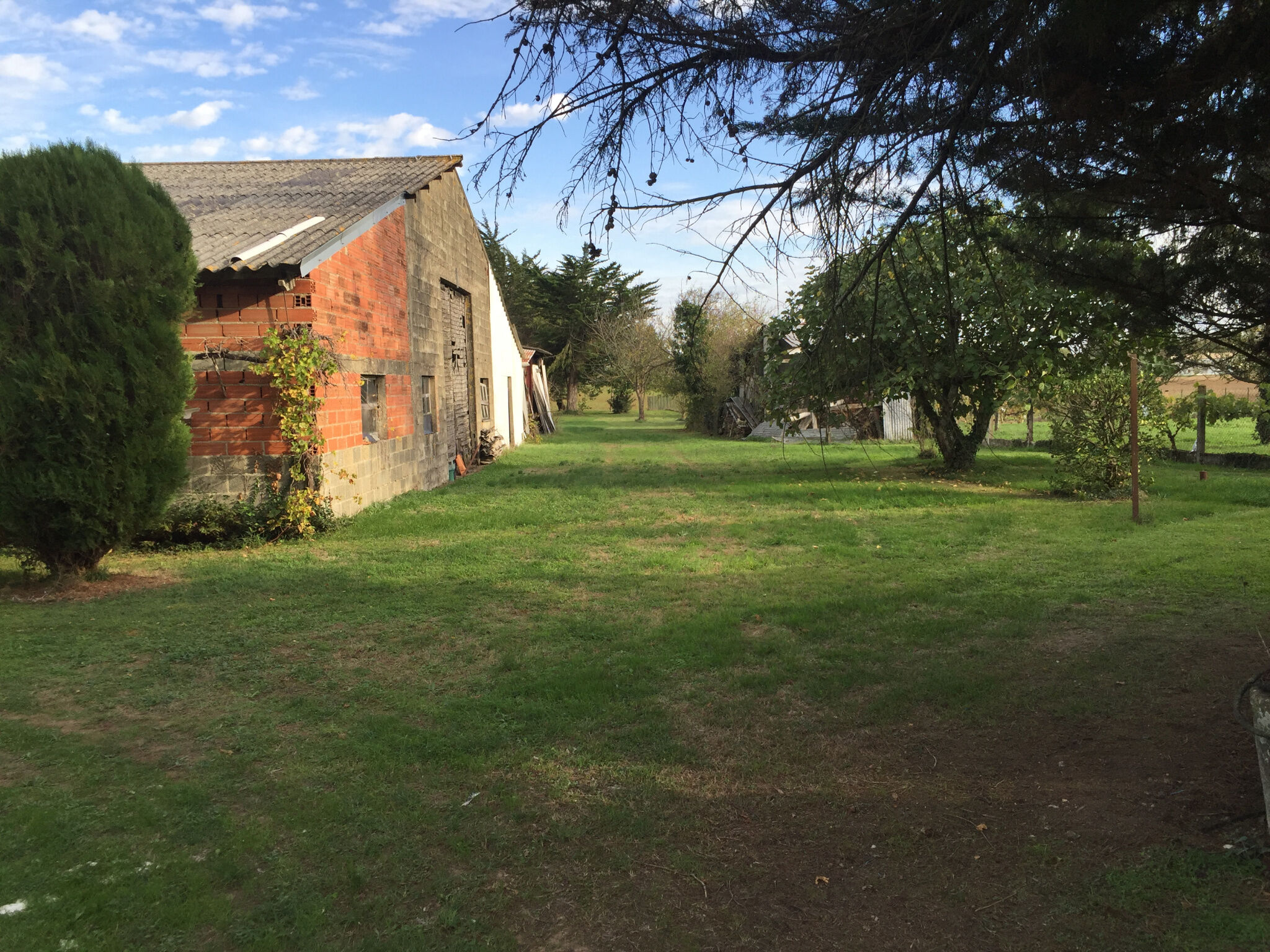Terrain  à vendre Saint-Cyr-du-Doret 17170
