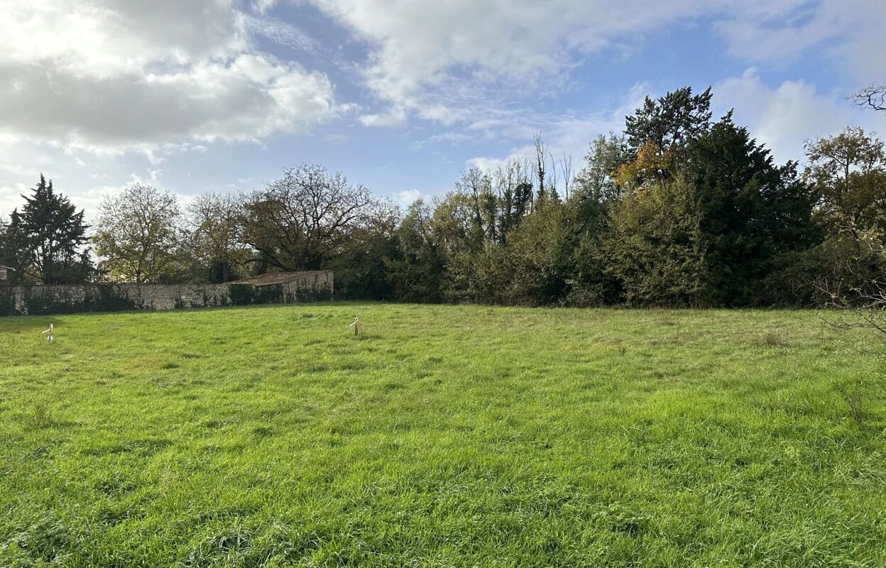 terrain  pièces 1130 m2 à vendre à Cissé (86170)