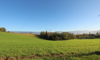 Photo N° 4