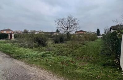 vente terrain 399 000 € à proximité de Veyssilieu (38460)