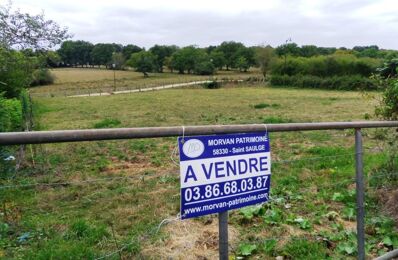 vente terrain 14 000 € à proximité de Saint-Jean-Aux-Amognes (58270)