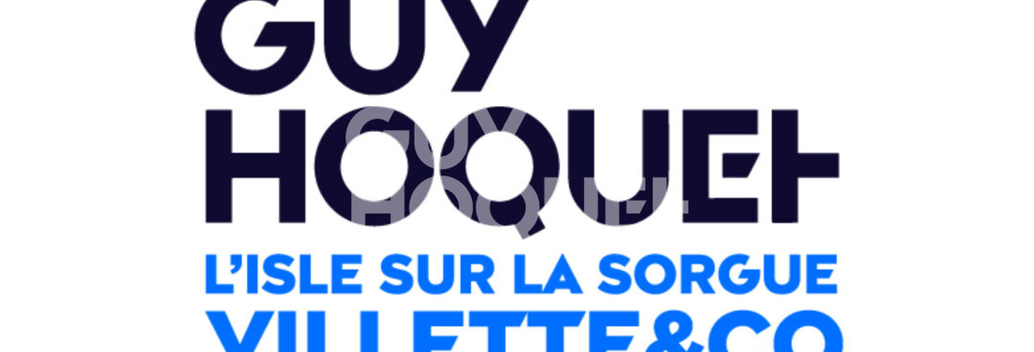 Commerce  400 m² à vendre à L'Isle-sur-la-Sorgue (84800)