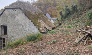 Photo N° 5