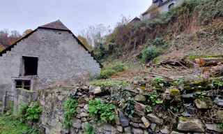 Photo N° 7