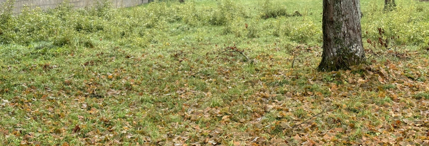 Terrain  2300 m² à vendre à Briare (45250)