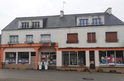 vente local industriel 218 250 € à proximité de Guémené-sur-Scorff (56160)
