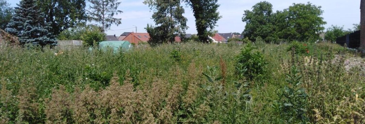 Terrain  1118 m² à vendre à Marcq-en-Ostrevent (59252)