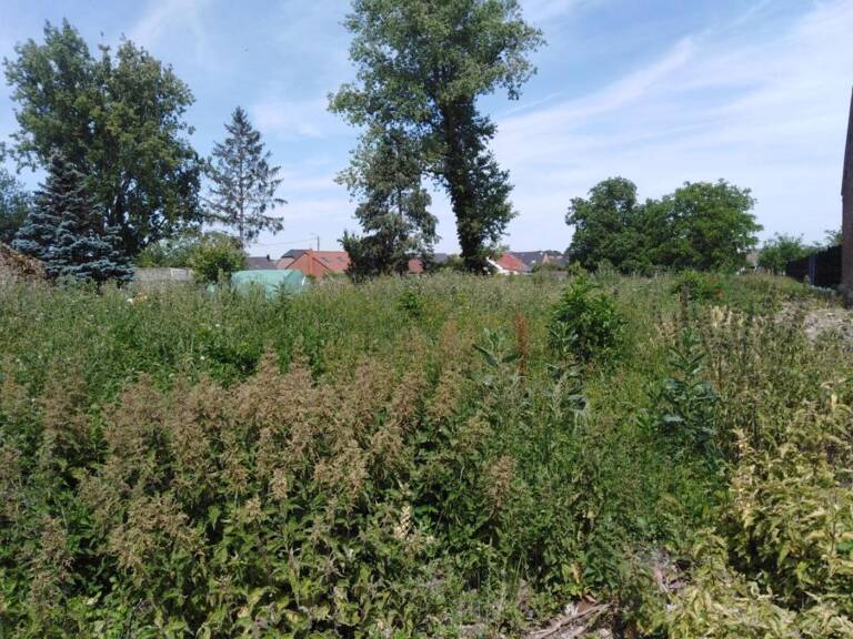 Terrain à bâtir — photo 1