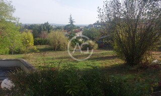 Photo N° 7