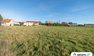 Photo N° 4