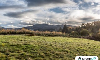 Photo N° 5