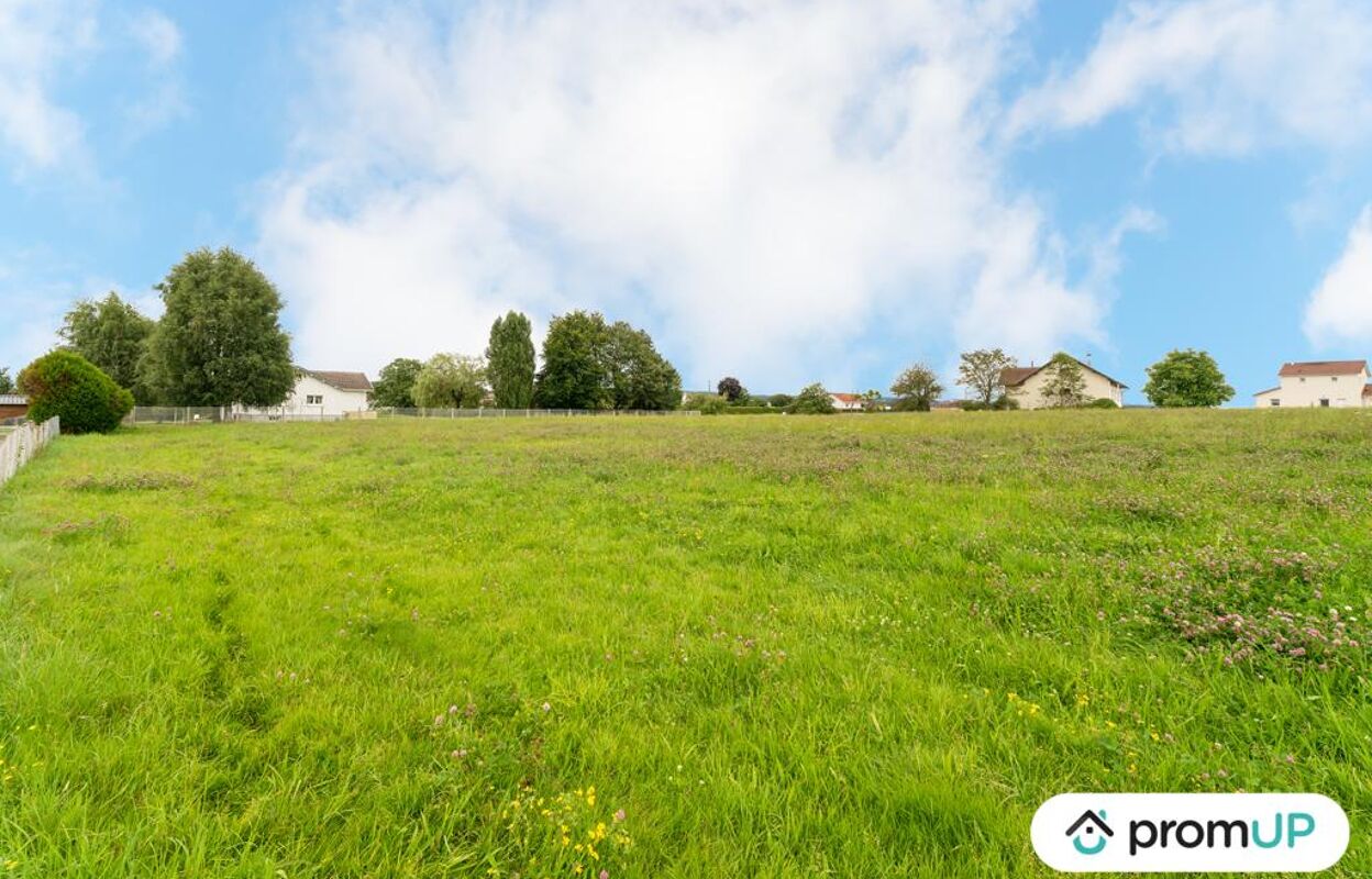 terrain  pièces 1838 m2 à vendre à Dounoux (88220)