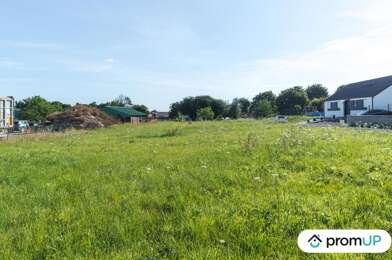 Terrain  50000 €