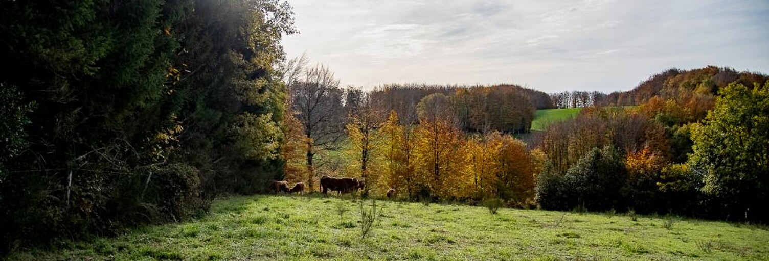 Terrain  30568 m² à vendre à Rouairoux (81240)