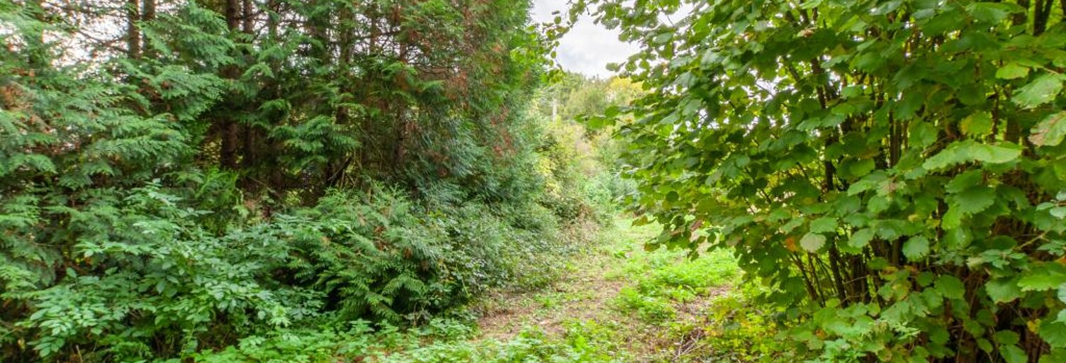 Maison  1600 m² à vendre à Drubec (14130)