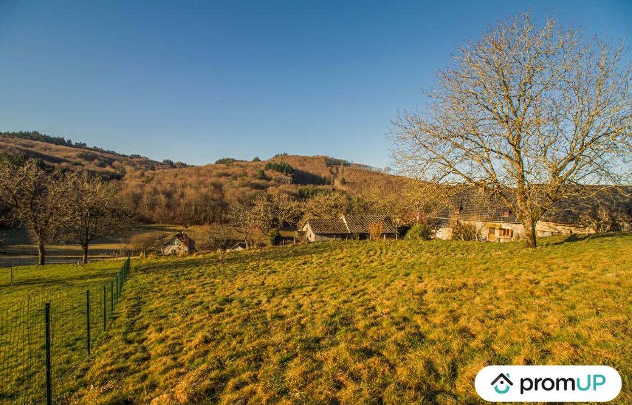 terrain  pièces 2000 m2 à vendre à Sainte-Fortunade (19490)