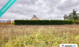 Photo N° 4