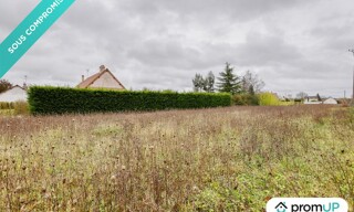 Photo N° 6