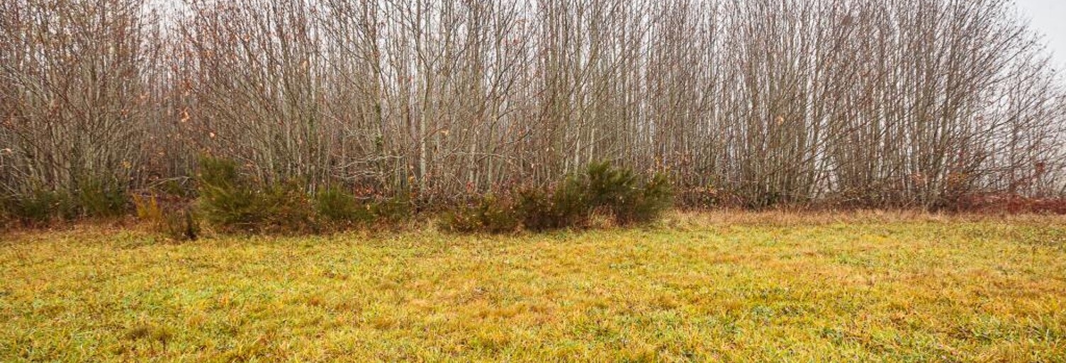 Terrain  7719 m² à vendre à Pageas (87230)