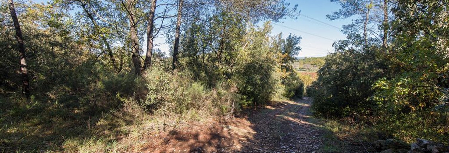 Terrain  9625 m² à vendre à Le Cannet-des-Maures (83340)