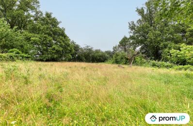 vente terrain 20 000 € à proximité de Saint-Laurent-sur-Gorre (87310)