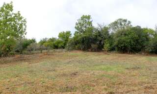 Terrain  1946 m² à vendre à Saint-Cyprien (24220)