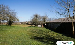 Photo N° 6