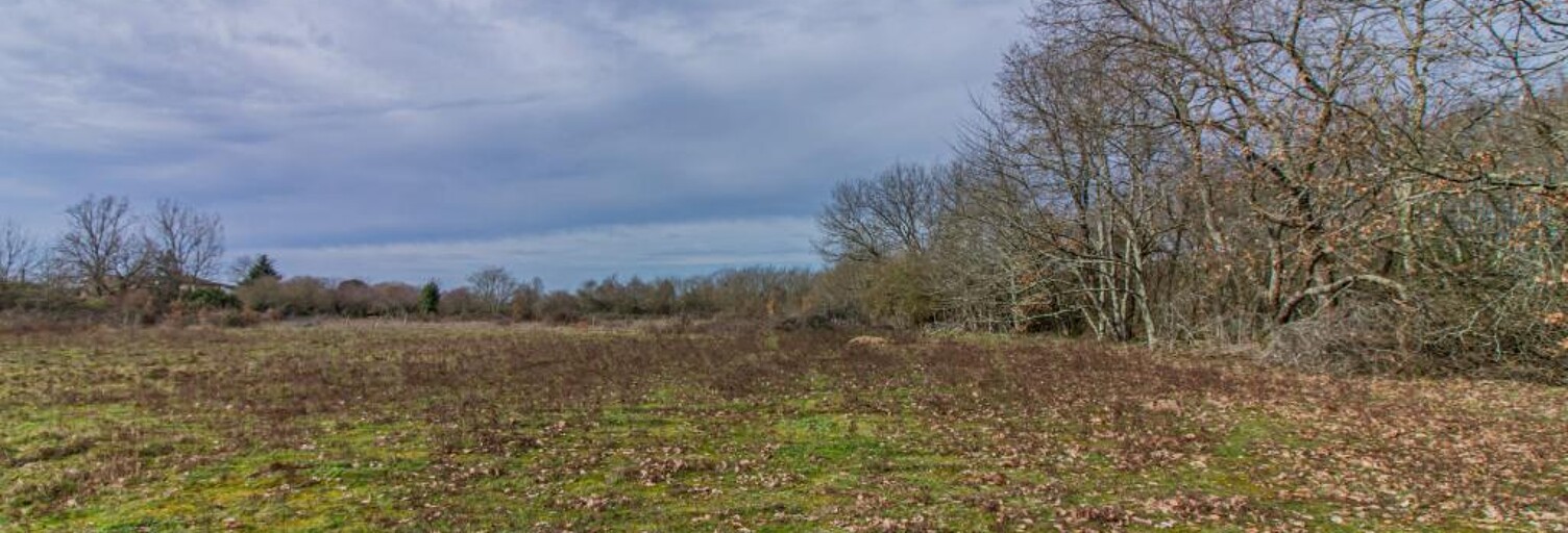 Terrain  8654 m² à vendre à Montcaret (24230)