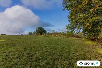 Terrain  43000 €