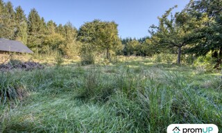 Photo N° 4