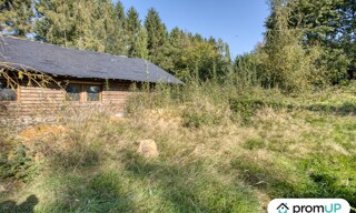 Photo N° 6