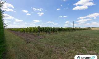 Commerce  3000 m² à vendre à Fontaines-d'Ozillac (17500)