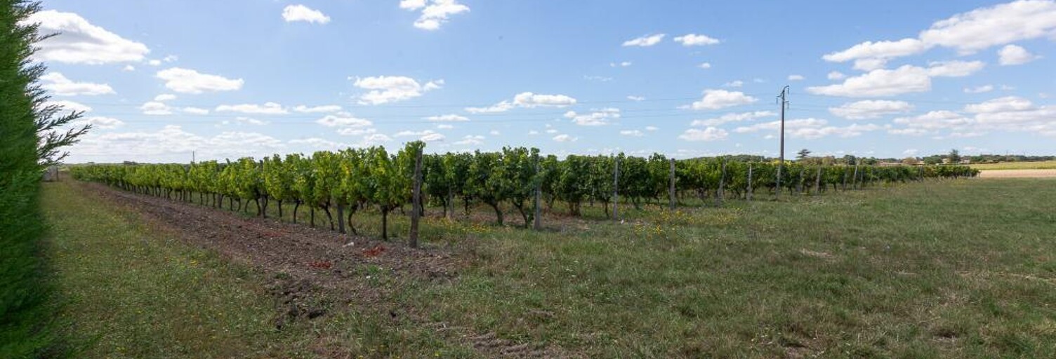 Commerce  3000 m² à vendre à Fontaines-d'Ozillac (17500)