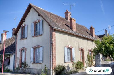 vente maison 49 000 € à proximité de Sauzelles (36220)